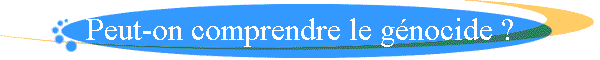 Peut-on comprendre le g�nocide ?