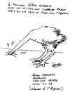 Dessin de Smulevic